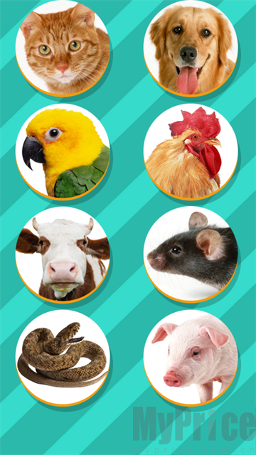 pet translator宠物对话翻译器