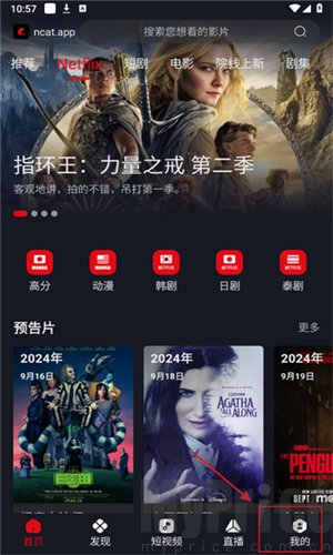 网飞猫ncat