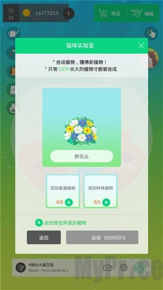 我的水晶花园