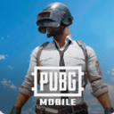PUBG 国际服