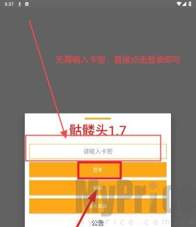 骷髅头直装