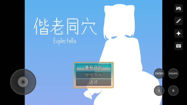 偕老同穴