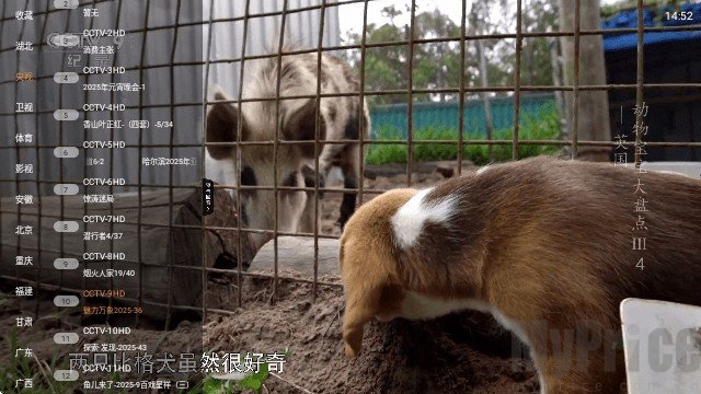 云帆直播
