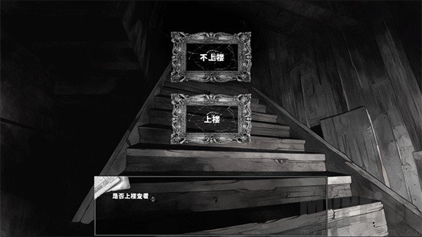 啮齿动物No44观察记录完整版