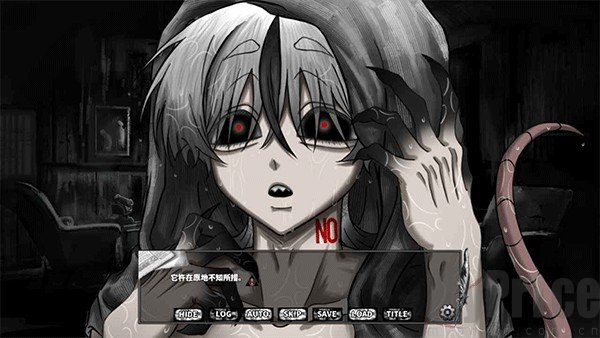 啮齿动物No44观察记录完整版