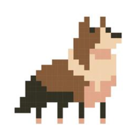dogti人格测试