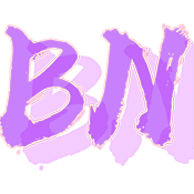 BN直装