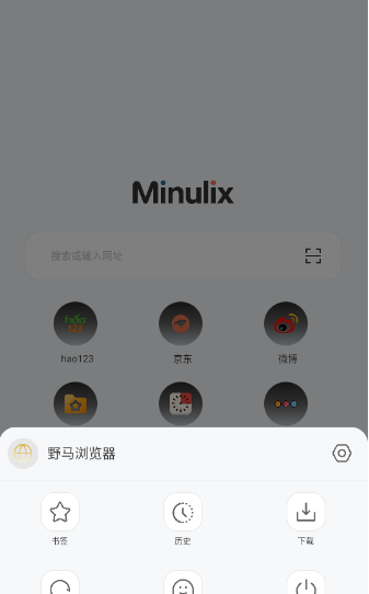 野马浏览器
