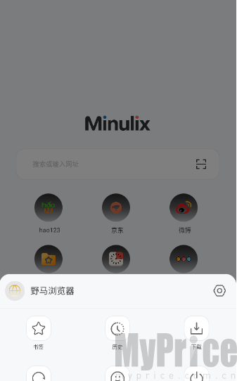 野马浏览器