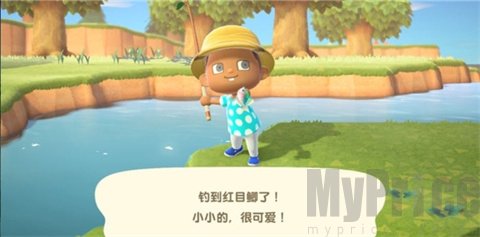 动物之森安卓版