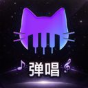 波音猫