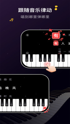 波音猫
