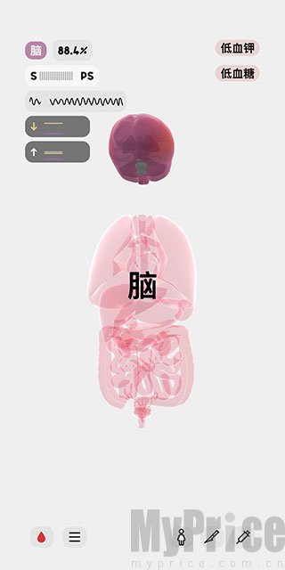 生命life