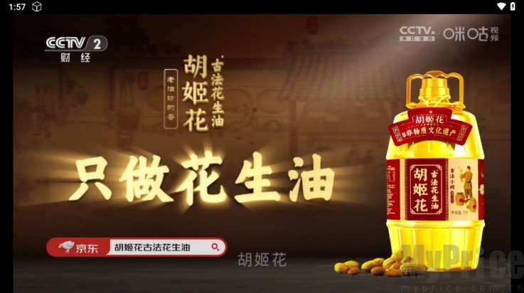 魔法影视tv版