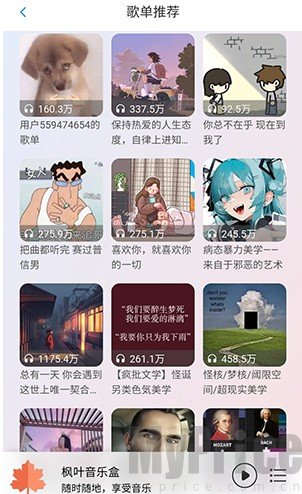 枫叶音乐