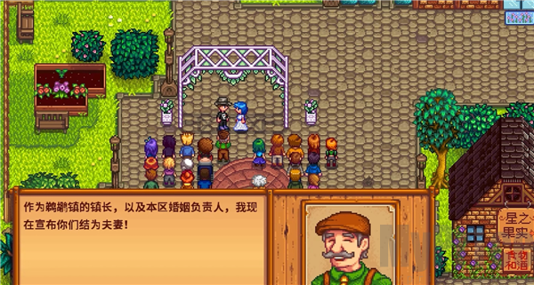 stardew valley手机版