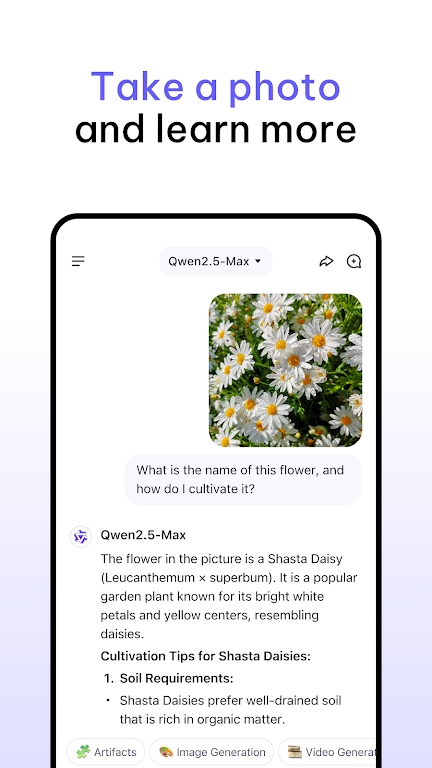 qwen chat