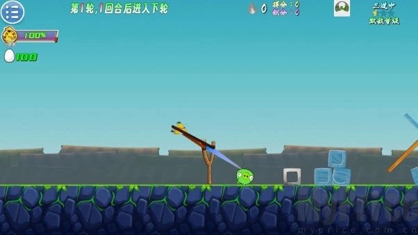 我的鸟生存