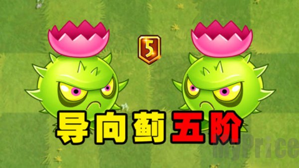植物大战僵尸2导向蓟5阶的技能是什么 植物大战僵尸2导向蓟5阶介绍