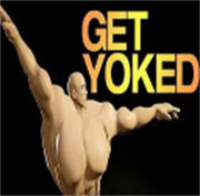 阿诺模拟器GET YOKED