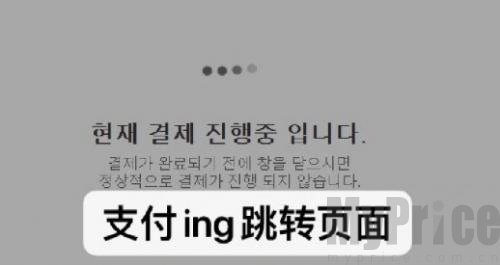 Melon ticket global国际版