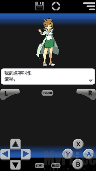 口袋妖怪黑白2汉化版