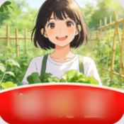 丰收小菜园