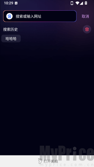 夜夜浏览器