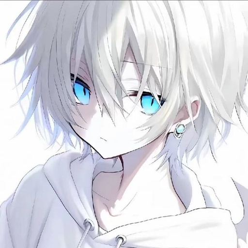 星仔速刷体质定制版