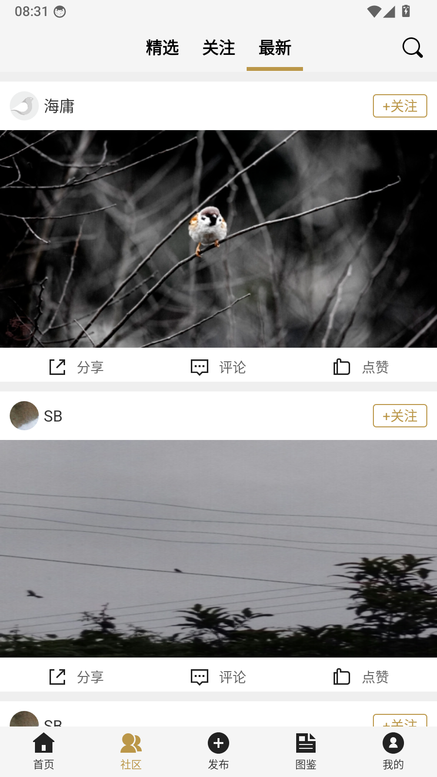 识鸟家