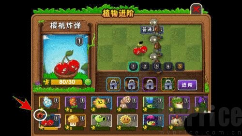 植物大战僵尸2版全5阶植物