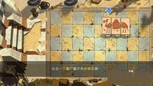 植物大战僵尸2版全5阶植物