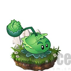 植物大战僵尸2版全5阶植物