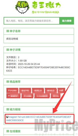 老王磁力引擎