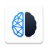 My Brain
