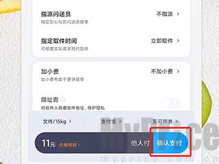 闪送订单确认支付提交页面