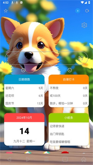 冲浪浏览器