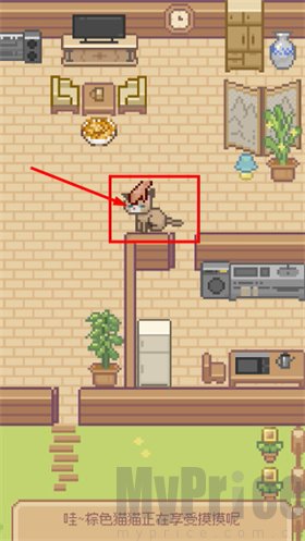 Miao屋抚摸猫咪互动特效展示