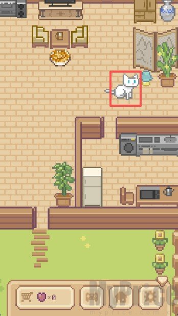 Miao屋设置猫咪名称界面