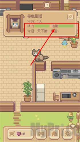 Miao屋猫咪状态信息面板截图