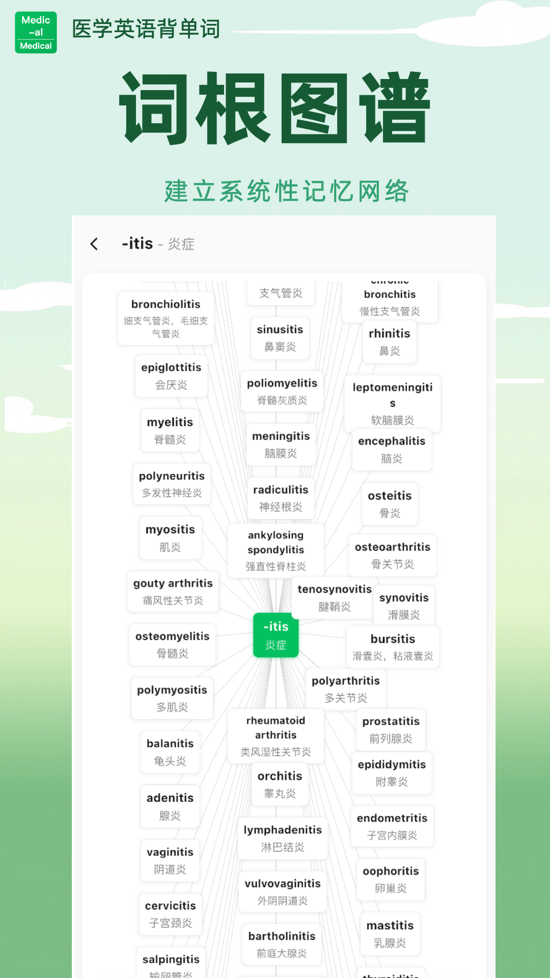 医学英语背单词