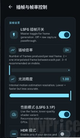 LSFG Android插帧帧率功能入口界面展示