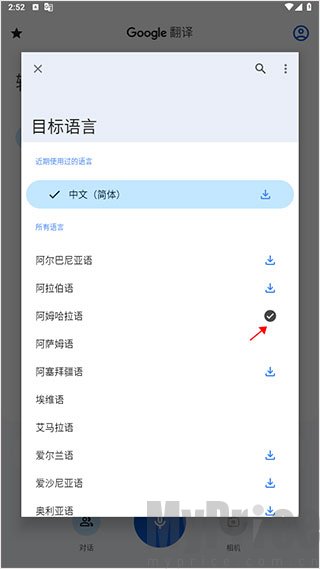 谷歌翻译语言包下载完成带对勾标识页面