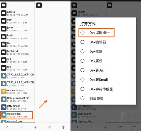 选中classes.dex打开界面