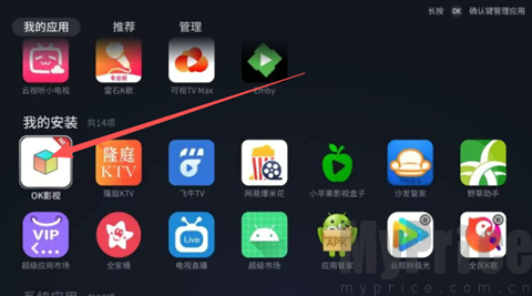 应用安装完成效果展示
