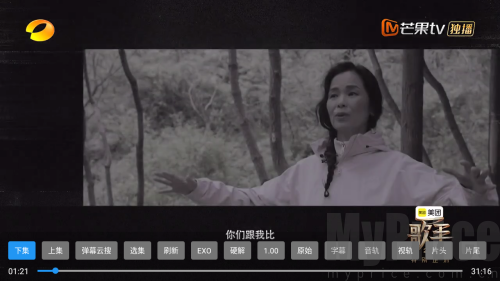 牛哥影视TV播放控制底部工具栏