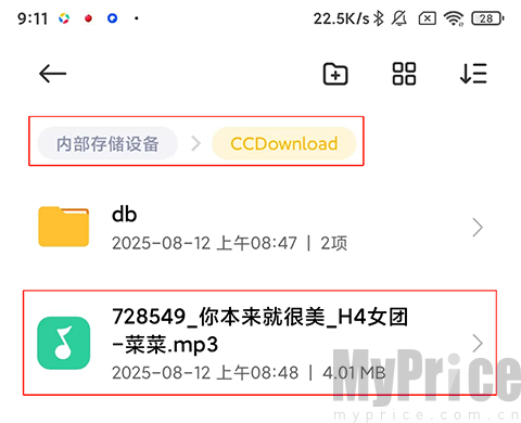 手机文件CCDownload文件夹路径