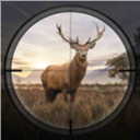 狩猎狙击手Hunting Sniper