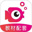 鲤鱼辅导