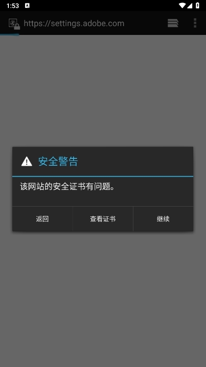 flash播放器
